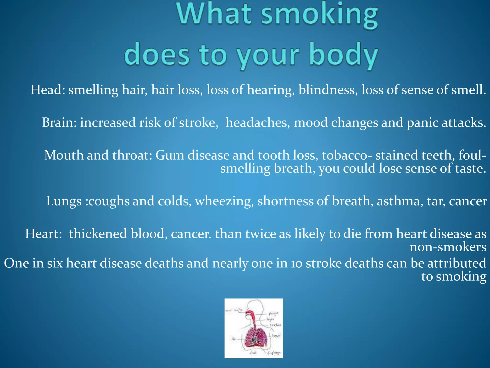 Head: smelling hair, hair loss, loss of hearing, blindness, loss of sense of smell.
Brain: increased risk of stroke, headaches, mood changes and panic attacks.
Mouth and throat: Gum disease and tooth loss, tobacco- stained teeth, foul-
smelling breath, you could lose sense of taste.
Lungs :coughs and colds, wheezing, shortness of breath, asthma, tar, cancer
Heart: thickened blood, cancer. than twice as likely to die from heart disease as
non-smokers
One in six heart disease deaths and nearly one in 10 stroke deaths can be attributed
to smoking
 