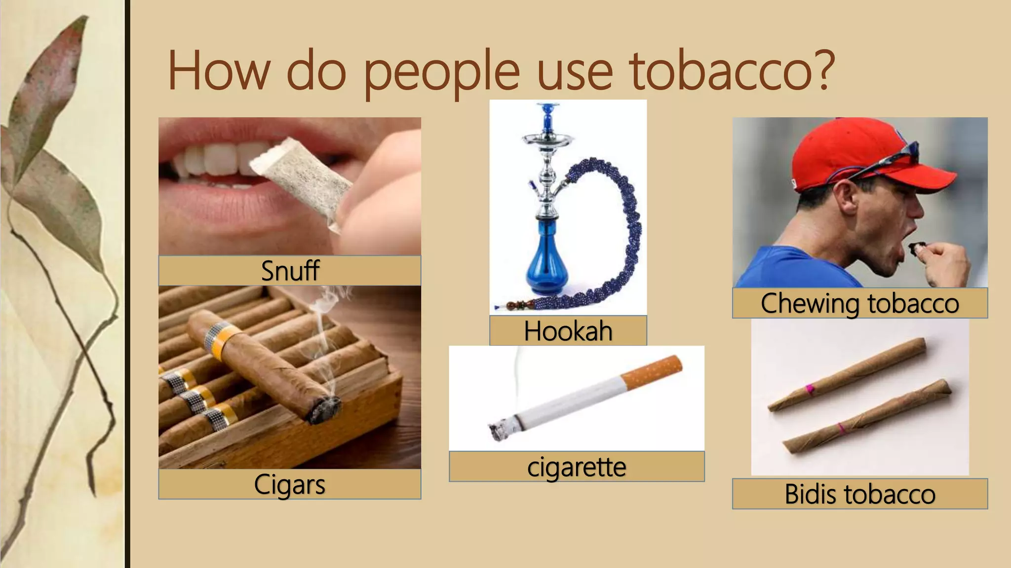 why do people use tobacco products Problem (s) with Nicotine Mind Matters: The Body's Response