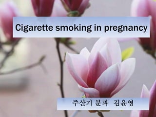 Cigarette smoking in pregnancy




            주산기 분과 김윤영
 
