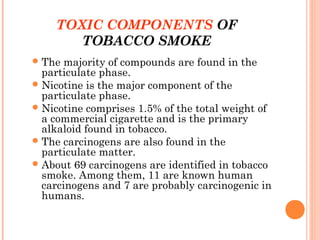 where is tobacco native to South american tobacco (Nicotiana sylvestris) where is tobacco native to South american tobacco (Nicotiana sylvestris)