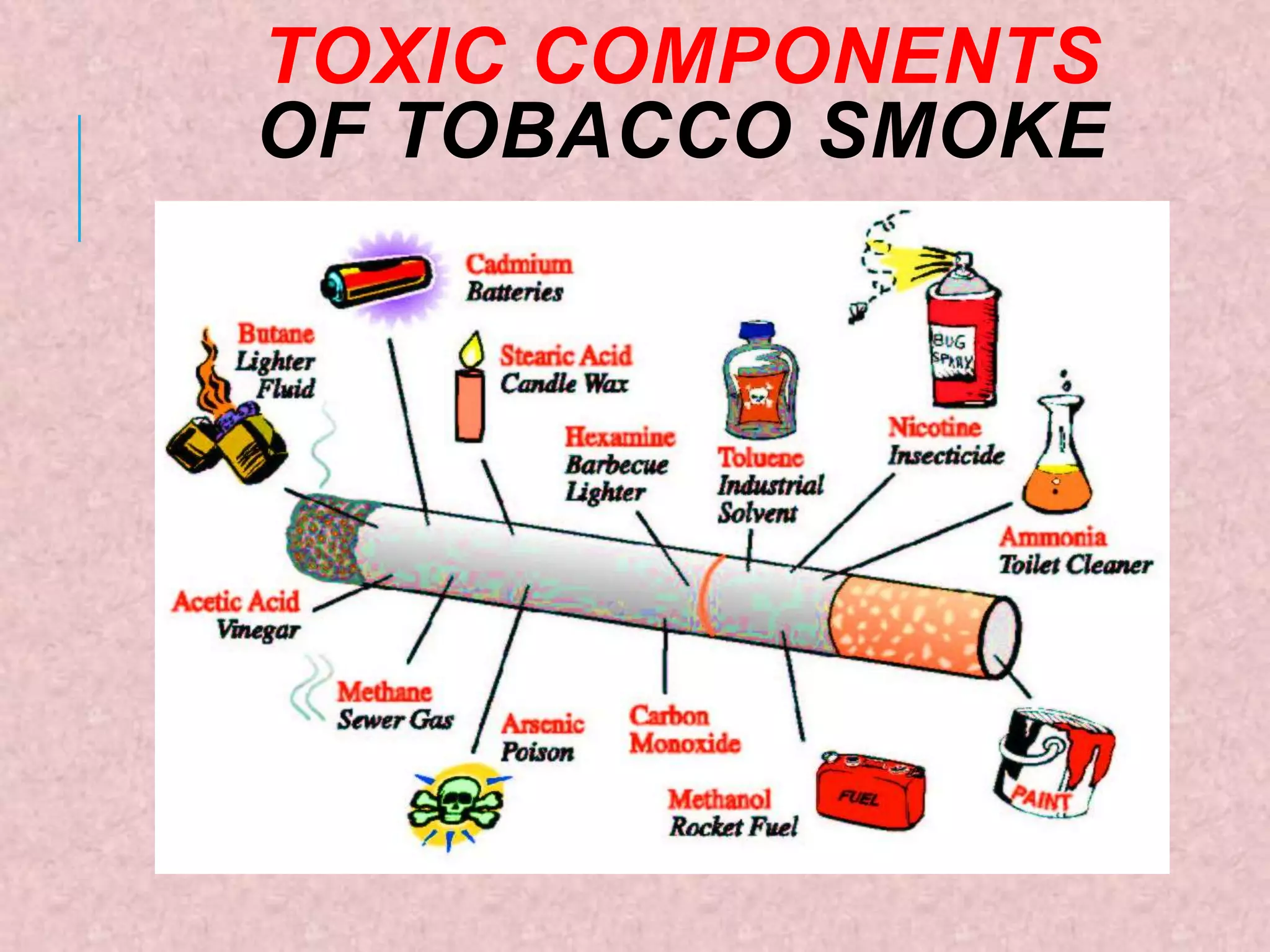 what is the major component of tobacco smoke Smoking and its health risks