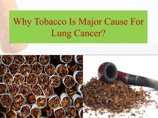 Why Tobacco Is Major Cause For
Lung Cancer?
 