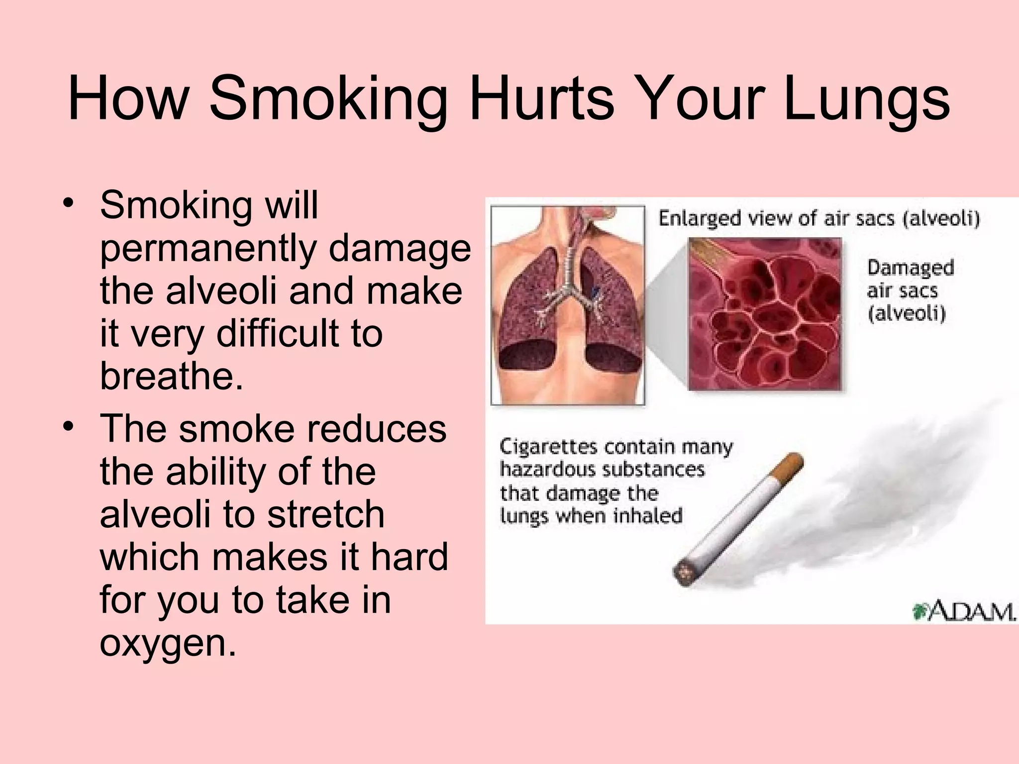 cigarettes destroy your lungs How to Help Recover After Quitting Smoking Health Effects of Smoking on