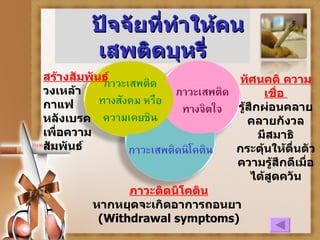 ปัจจัยที่ทำให้คนเสพติดบุหรี่ ภาวะติดนิโคติน หากหยุดจะเกิดอาการถอนยา  ( Withdrawal symptoms) สร้างสัมพันธ์ วงเหล้า กาแฟ หลังเบรค เพื่อความสัมพันธ์ ทัศนคติ ความเชื่อ  รู้สึกผ่อนคลาย คลายกังวล มีสมาธิ กระตุ้นให้ตื่นตัวความรู้สึกดีเมื่อ ได้สูดควัน 