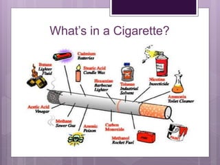 What’s in a Cigarette?
 