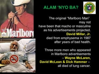 ALAM ‘NYO BA?
The original “Marlboro Man”
may not
have been that macho or masculine
as his advertisements projected.
David Millar, Jr.
died from emphysema in 1987
after years of bad health.
Three more men who appeared
in Marlboro advertisements
– Wayne McLaren,
David McLean & Dick Hammer –
all died of lung cancer.
 