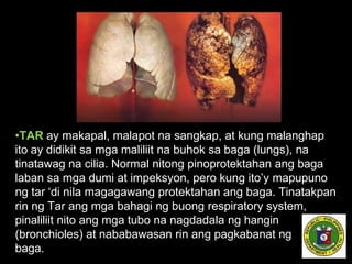 •TAR ay makapal, malapot na sangkap, at kung malanghap
ito ay didikit sa mga maliliit na buhok sa baga (lungs), na
tinatawag na cilia. Normal nitong pinoprotektahan ang baga
laban sa mga dumi at impeksyon, pero kung ito’y mapupuno
ng tar ‘di nila magagawang protektahan ang baga. Tinatakpan
rin ng Tar ang mga bahagi ng buong respiratory system,
pinaliliit nito ang mga tubo na nagdadala ng hangin
(bronchioles) at nababawasan rin ang pagkabanat ng
baga.
 