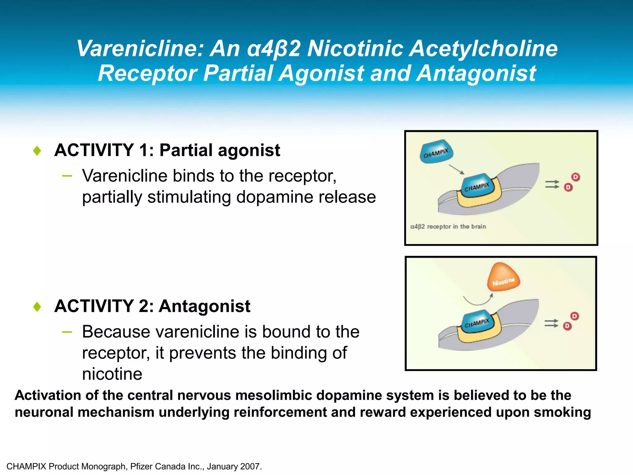 Varenicline: An α4β2 Nicotinic Acetylcholine
Receptor Partial Agonist and Antagonist
♦ ACTIVITY 1: Partial agonist
– Varenicline binds to the receptor,
partially stimulating dopamine release
♦ ACTIVITY 2: Antagonist
– Because varenicline is bound to the
receptor, it prevents the binding of
nicotine
Activation of the central nervous mesolimbic dopamine system is believed to be the
neuronal mechanism underlying reinforcement and reward experienced upon smoking
CHAMPIX Product Monograph, Pfizer Canada Inc., January 2007.
 