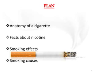 PLAN
Anatomy of a cigarette
Facts about nicotine
Smoking effects
Smoking causes
3
 