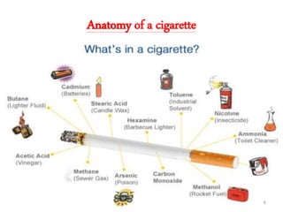 Anatomy of a cigarette
6
 
