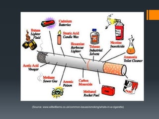 (Source: www.willwilliams.co.uk/common-issues/smoking/whats-in-a-cigarette)
 