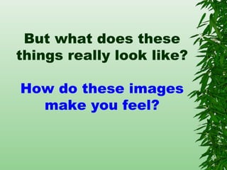 But what does these
things really look like?
How do these images
make you feel?
 