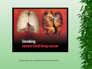 Website Source: http://smokefreewic.com/Facts/Smoking.html
 