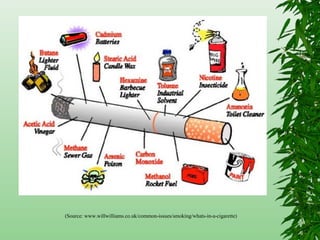 (Source: www.willwilliams.co.uk/common-issues/smoking/whats-in-a-cigarette)
 