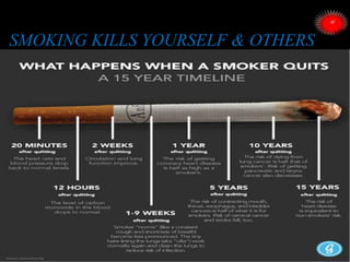 SMOKING KILLS YOURSELF & OTHERS
 