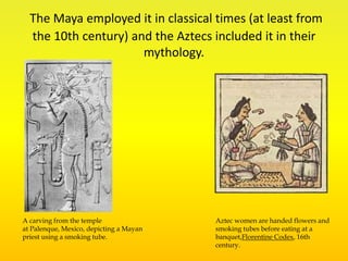 The Maya employed it in classical times (at least from
the 10th century) and the Aztecs included it in their
mythology.
A carving from the temple
at Palenque, Mexico, depicting a Mayan
priest using a smoking tube.
Aztec women are handed flowers and
smoking tubes before eating at a
banquet,Florentine Codex, 16th
century.
 