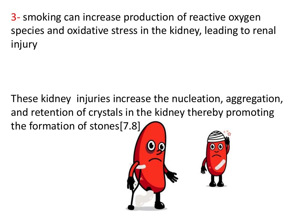 Smoking effect in the kidney, the urological point of view