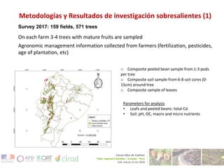 Tackling cadmium in cacao and derived products – from farm to fork