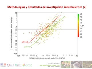 Tackling cadmium in cacao and derived products – from farm to fork