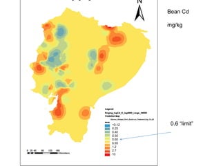 Tackling cadmium in cacao and derived products – from farm to fork
