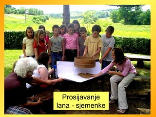 Prosijavanje lana - sjemenke 
