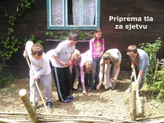 Priprema tla za sjetvu 