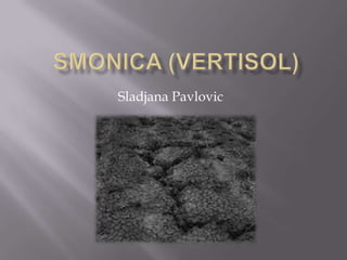 Sladjana Pavlovic
 