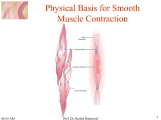 smooth muscle is one type of muscle controlled by autonomic nerve .pdf