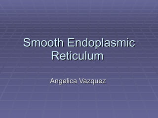 Smooth Endoplasmic Reticulum  Angelica Vazquez  