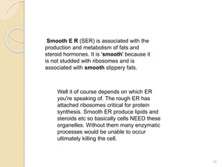15
Smooth E R (SER) is associated with the
production and metabolism of fats and
steroid hormones. It is 'smooth' because it
is not studded with ribosomes and is
associated with smooth slippery fats.
Well it of course depends on which ER
you're speaking of. The rough ER has
attached ribosomes critical for protein
synthesis. Smooth ER produce lipids and
steroids etc so basically cells NEED these
organelles. Without them many enzymatic
processes would be unable to occur
ultimately killing the cell.
 