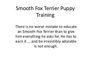 Smooth Fox Terrier Puppy
       Training
There is no worse mistake to educate
 an Smooth Fox Terrier than to give
him everything he asks for. He has to
earn it ... and be irresistibly adorable
             is not enough.
 