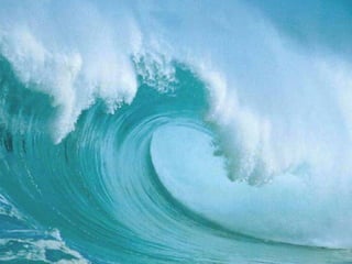 Wave 