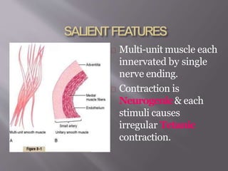 Smooth Muscle.pptx