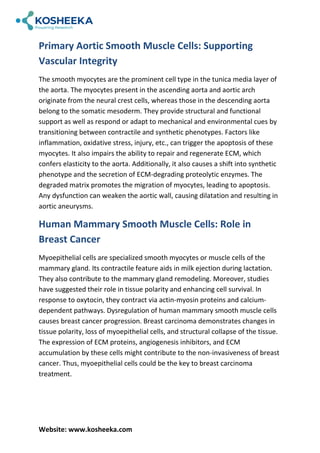 Smooth Muscle Cell: Understand Function and Anatomy | PDF
