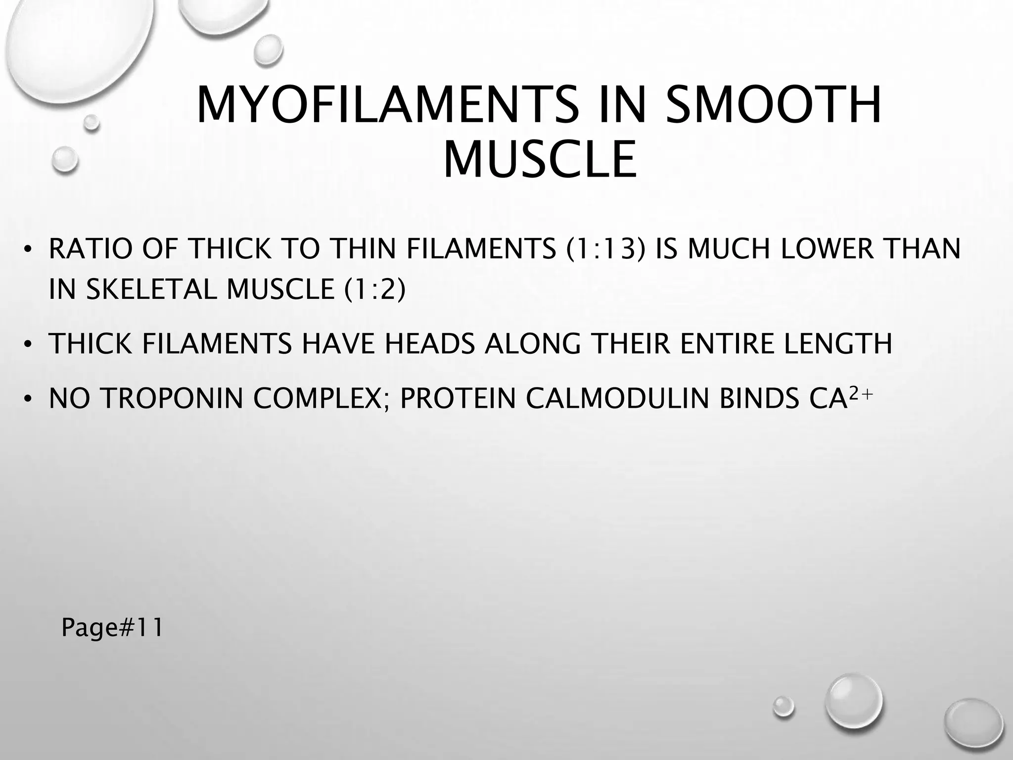 Smooth Muscle Excitation Contraction | PPTX