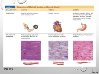 Smooth Muscle Excitation Contraction | PPTX