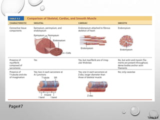 Smooth Muscle Excitation Contraction | PPTX
