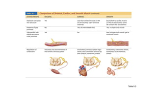 Smooth Muscle physiology.pdf on physiology | PDF