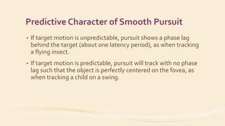 Predictive Character of Smooth Pursuit
• If target motion is unpredictable, pursuit shows a phase lag
behind the target (about one latency period), as when tracking
a flying insect.
• If target motion is predictable, pursuit will track with no phase
lag such that the object is perfectly centered on the fovea, as
when tracking a child on a swing.
 