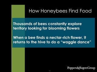 Strategy. Execution. Results.
COPYRIGHT © 2013. ALL RIGHTS PROTECTED AND RESERVED. 14
Thousands of bees constantly explore
territory looking for blooming flowers
When a bee finds a nectar-rich flower, it
returns to the hive to do a “waggle dance”
How Honeybees Find Food
 