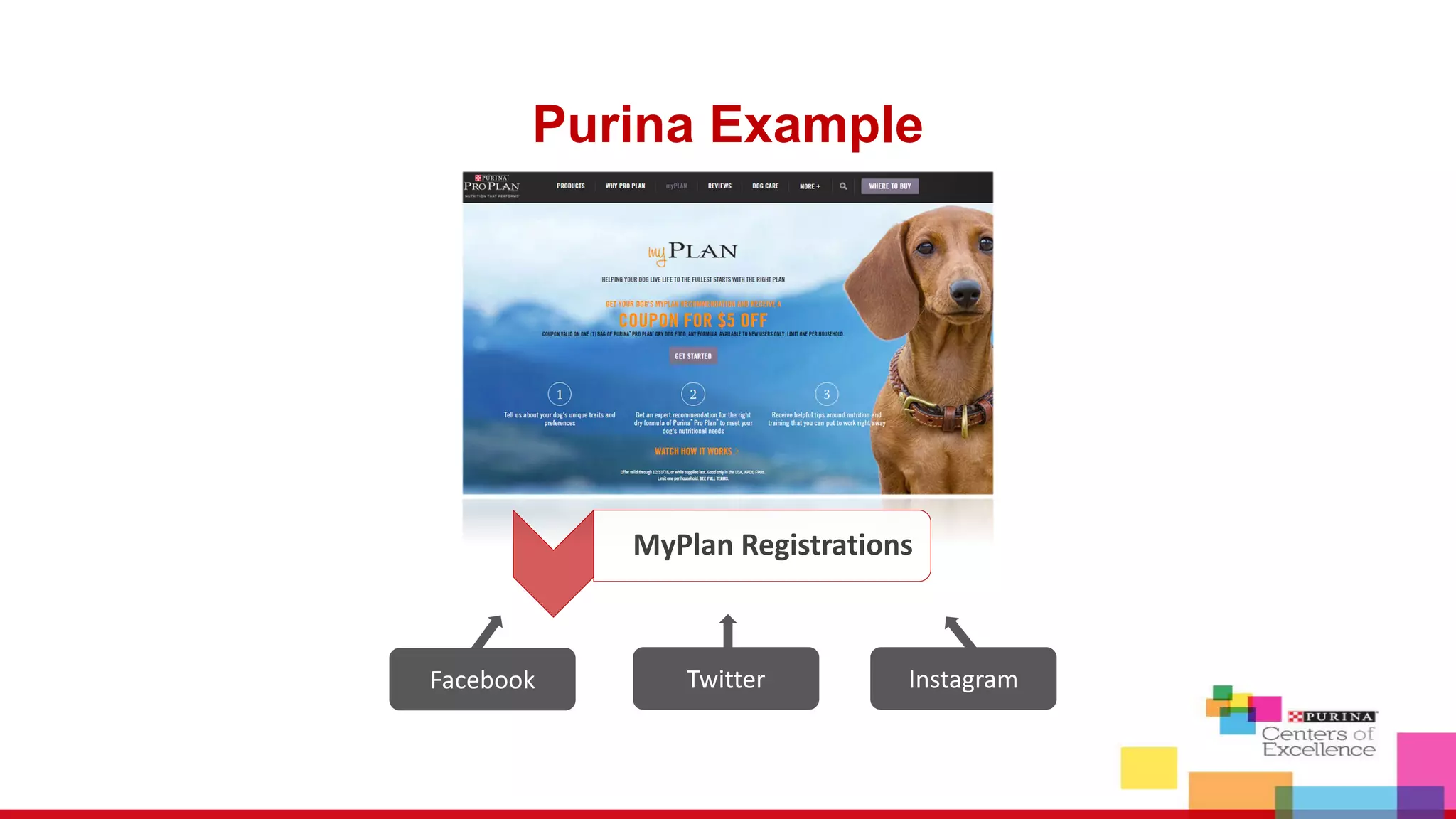 Twitter
Purina Example
MyPlan Registrations
Facebook Instagram