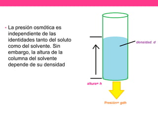 • La presión osmótica es
 independiente de las
 identidades tanto del soluto
 como del solvente. Sin
 embargo, la altura de la
 columna del solvente
 depende de su densidad
 