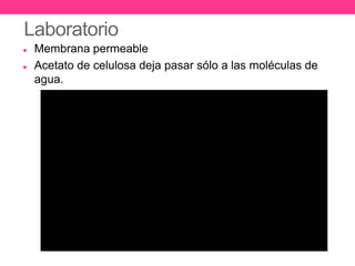 Laboratorio
   Membrana permeable
   Acetato de celulosa deja pasar sólo a las moléculas de
    agua.
 