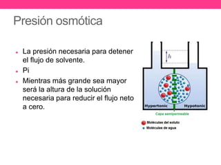 Presión osmótica

   La presión necesaria para detener
    el flujo de solvente.
   Pi
   Mientras más grande sea mayor
    será la altura de la solución
    necesaria para reducir el flujo neto
    a cero.
 