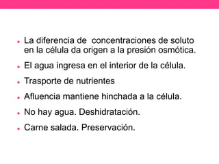    La diferencia de concentraciones de soluto
    en la célula da origen a la presión osmótica.
   El agua ingresa en el interior de la célula.
   Trasporte de nutrientes
   Afluencia mantiene hinchada a la célula.
   No hay agua. Deshidratación.
   Carne salada. Preservación.
 