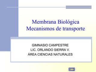 Membrana Biológica
Mecanismos de transporte
GIMNASIO CAMPESTRE
LIC. ORLANDO SIERRA V.
ÁREA CIENCIAS NATURALES
 