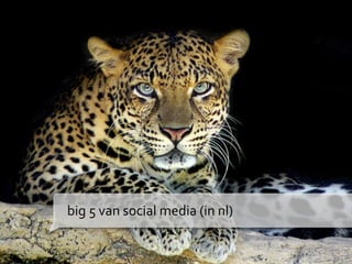 big 5 van social media (in nl)
 