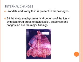 INTERNAL CHANGES
 Bloodstained frothy fluid is present in air passages.
 Slight acute emphysemas and oedema of the lungs
with scattered areas of atelectasis , petechiae and
congestion are the major findings.
 