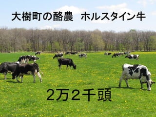 r ۥ륹ţ




   2ǧͷ
 