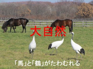 Ȼ

RȡQ
 